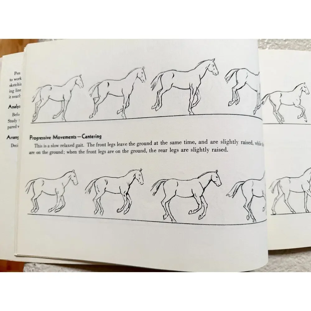 Drawing Horses Victor Perard 1956 Pitman Art Book #16 Equestrian